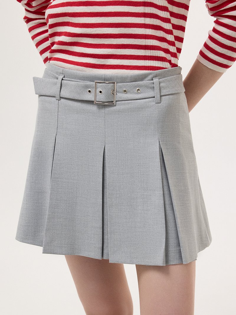 Брюки с юбкой